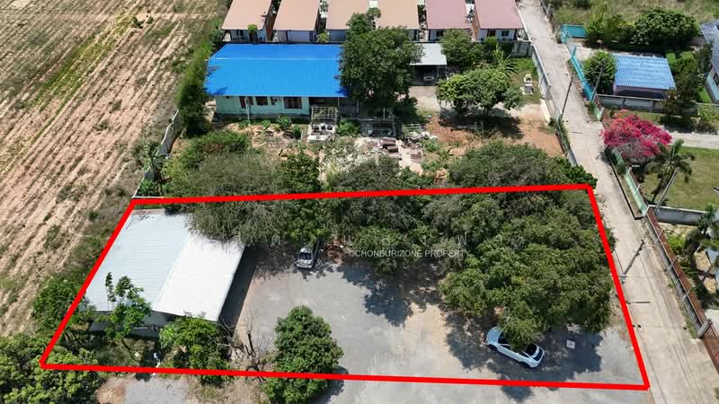 ขาย - ขายที่ดิน 200 ตรว.พร้อมสิ่งปลูกสร้าง หนองยายบู่ ศรีราชา, ชลบุรี