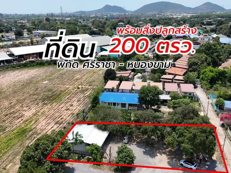 For Sale - ขายที่ดิน 200 ตรว.พร้อมสิ่งปลูกสร้าง หนองยายบู่ ศรีราชา, Chon Buri (Pattaya)