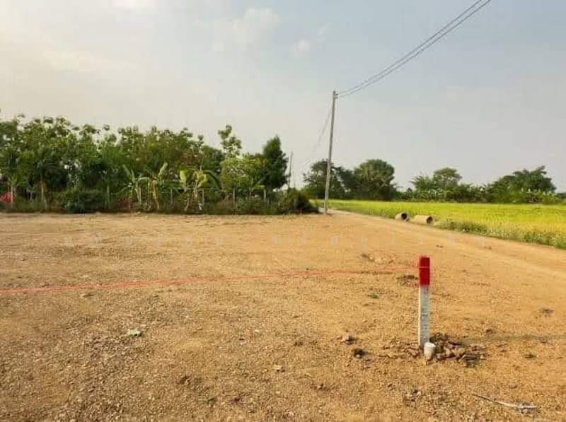 For Sale - Land with mountain and beautiful rice field views, near Central Festival Chiang Mai, Chiang Mai