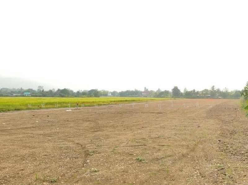 For Sale - Land with mountain and beautiful rice field views, near Central Festival Chiang Mai, Chiang Mai