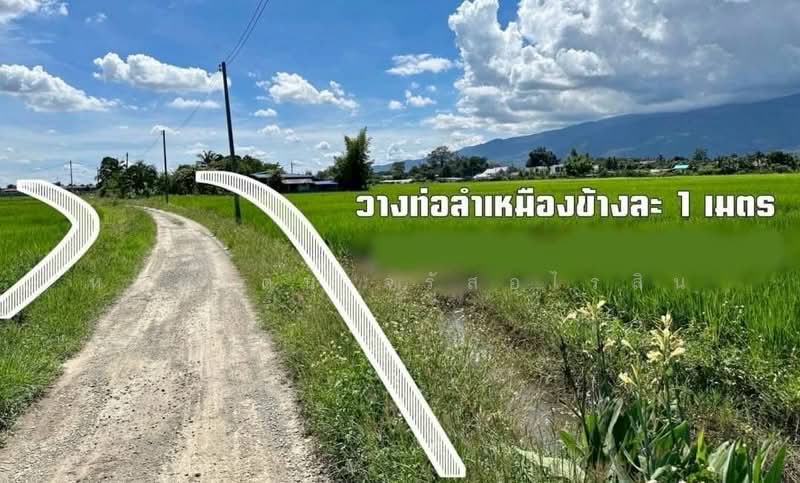 For Sale - Land with mountain and beautiful rice field views, near Central Festival Chiang Mai, Chiang Mai