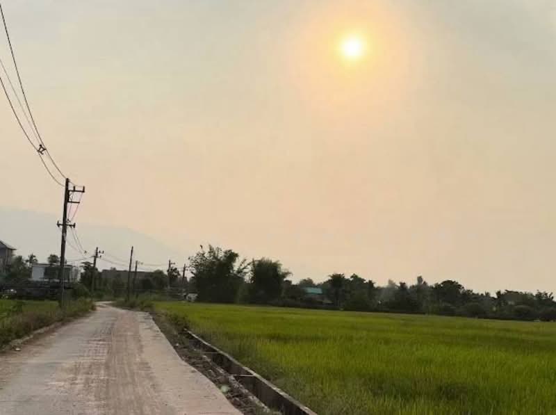 Land with mountain and beautiful rice field views, near Central Festival Chiang Mai, Chiang Mai, รอบเมืองเชียงใหม่, San Phi Sua, Muang Chiang Mai, Chiang Mai, , 600 sqm, Land For Sale, by หทัยรัตน์ จรัสอุไรสิน, 500234408 - DDproperty.com