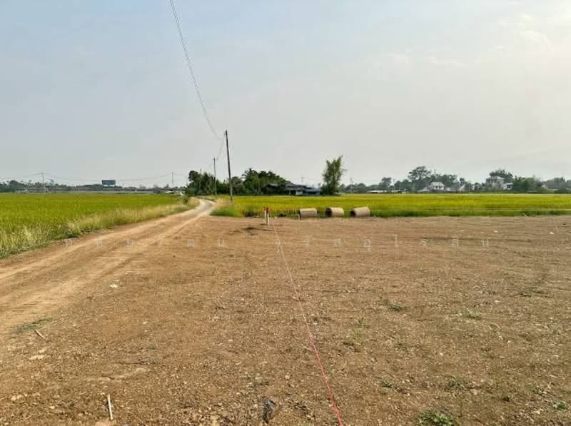 Land with mountain and beautiful rice field views, near Central Festival Chiang Mai, Chiang Mai, รอบเมืองเชียงใหม่, San Phi Sua, Muang Chiang Mai, Chiang Mai, , 600 sqm, Land For Sale, by หทัยรัตน์ จรัสอุไรสิน, 500234408 - DDproperty.com