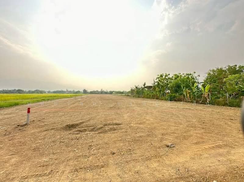Land with mountain and beautiful rice field views, near Central Festival Chiang Mai, Chiang Mai, รอบเมืองเชียงใหม่, San Phi Sua, Muang Chiang Mai, Chiang Mai, , 600 sqm, Land For Sale, by หทัยรัตน์ จรัสอุไรสิน, 500234408 - DDproperty.com