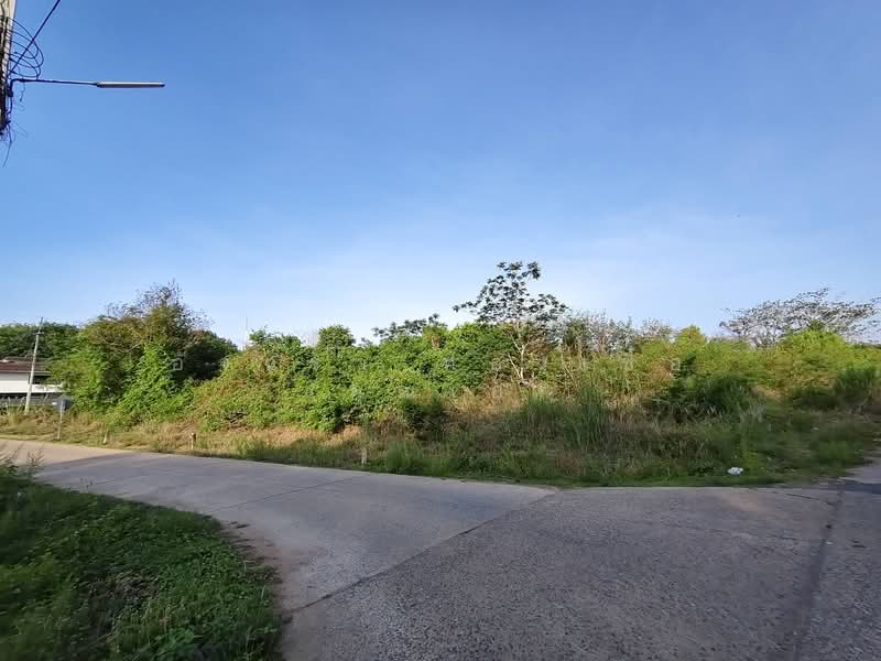 For Sale - ที่ดิน ต.ท่าช้าง อ.เมือง จ.จันทบุรี, Chanthaburi