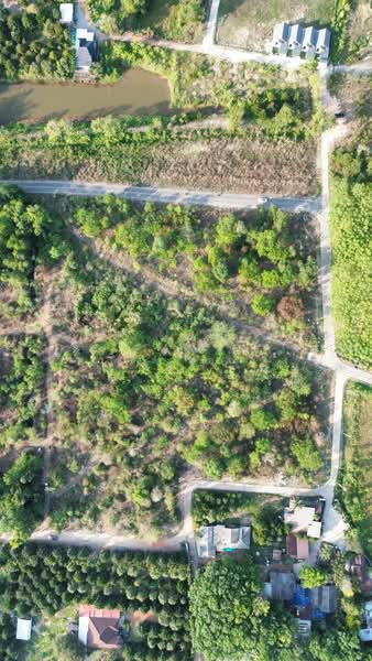 ขาย - ที่ดิน ต.ท่าช้าง อ.เมือง จ.จันทบุรี, จันทบุรี