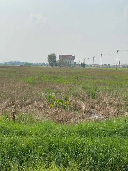 land for sell, Bangkok, Krathum Rai, Nong Chok, Bangkok, , 5,528 sqm, Land For Sale, by คุณท็อป, 500234456 - DDproperty.com