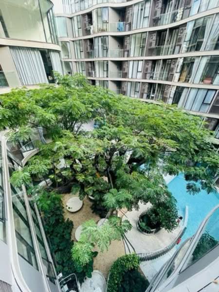 Fynn Asoke, Bangkok, 28 Sukhumvit 10 Alley, Khlong Toei, Khlong Toei, Bangkok, 1 Bedroom, 33 sqm, Condo For Rent, by บุญชู อัศวฤทธิพรหม์, 500234485 - DDproperty.com