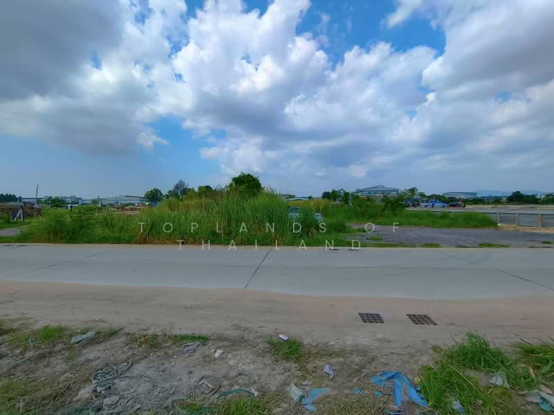 ขาย ที่ดิน ศรีราชา แหลมฉบัง ผังสีม่วง (ใกล้ท่าเรือ และนิคมอุตสาหกรรม 2 แห่ง) เนื้อที่ 6 ไร่, Chon Buri (Pattaya), ชลบุรี-พัทยา Highway, Nong - Kham, Si Racha, Chon Buri (Pattaya), , 9,960 sqm, Land For Sale, by TopLands of Thailand, 500234509 - DDproperty.com