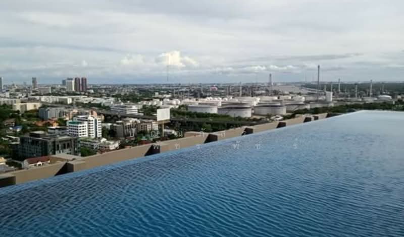 Life Sukhumvit 62, Bangkok, Soi Sukhumvit 62, Bang Chak, Phra Khanong, Bangkok, 1 Bedroom, 26 sqm, Condo For Rent, by ปัณณภัสร์ ศรีพัชรพัชร์, 500234535 - DDproperty.com