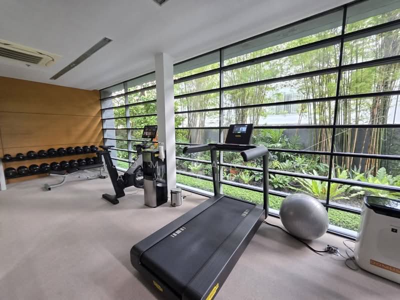 Domus 16, Bangkok, 19 Soi Sukhumvit 16, Khlong Toei, Khlong Toei, Bangkok, 2 Bedrooms, 167 sqm, Condo For Sale, by Jomchanok Aswavibul, 500234536 - DDproperty.com