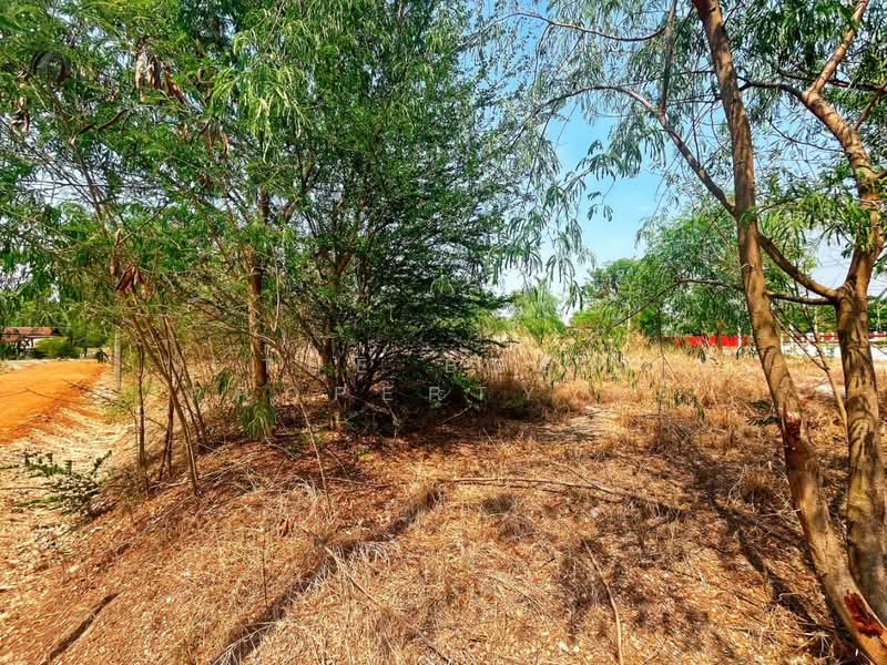 ที่ดินหนองฉาง อุทัยธานี, อุทัยธานี, หนองฉาง, หนองฉาง, อุทัยธานี, 1,680 ตร.ม., ที่ดิน ขาย, โดย The Best Property แอ้, 500234537 - DDproperty.com