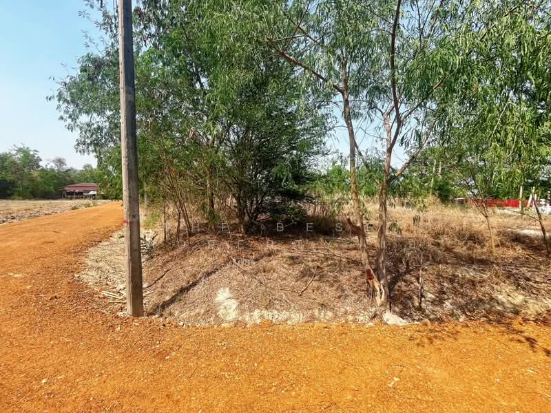 ที่ดินหนองฉาง อุทัยธานี, Uthai Thani, Nong Chang, Nong Chang, Uthai Thani, , 1,680 sqm, Land For Sale, by The Best Property แอ้, 500234537 - DDproperty.com