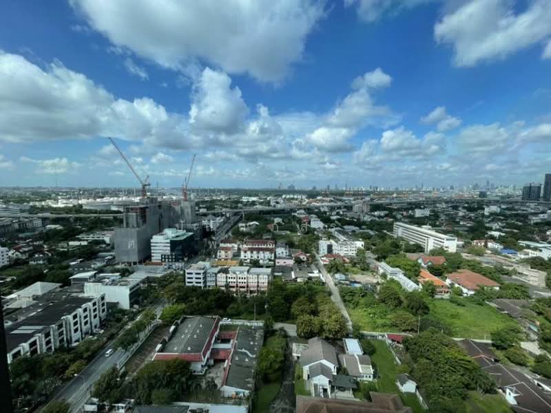 Life Sukhumvit 62, Bangkok, Soi Sukhumvit 62, Bang Chak, Phra Khanong, Bangkok, 1 Bedroom, 30 sqm, Condo For Rent, by ปัณณภัสร์ ศรีพัชรพัชร์, 500234540 - DDproperty.com