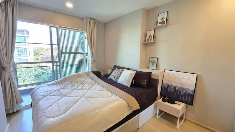 ให้เช่า - One Plus Condo - Suan Dok : วันพลัส คอนโด - สวนดอก, เชียงใหม่