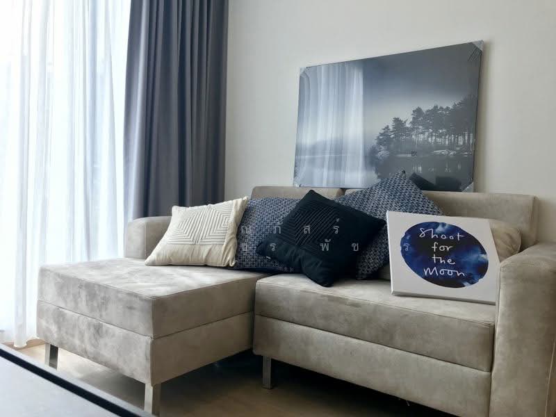 Serio Sukhumvit 50, Bangkok, Soi Sukhumvit 50, Phra Kanong, Khlong Toei, Bangkok, 1 Bedroom, 31 sqm, Condo For Rent, by ปัณณภัสร์ ศรีพัชรพัชร์, 500234546 - DDproperty.com