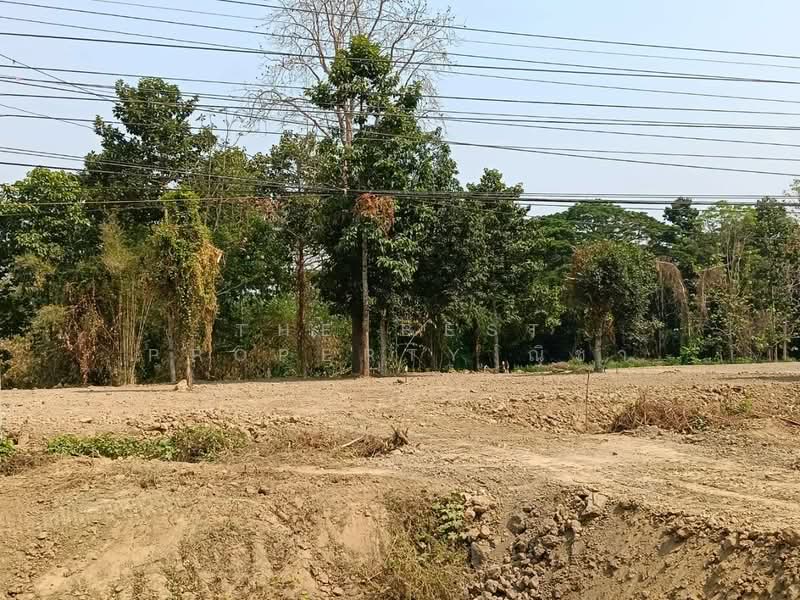 ที่ดินบางระกำ พิษณุโลก, Phitsanulok, Bang Rakam, Bang Rakam, Phitsanulok, , 932 sqm, Land For Sale, by The Best Property ณิชา, 500234551 - DDproperty.com