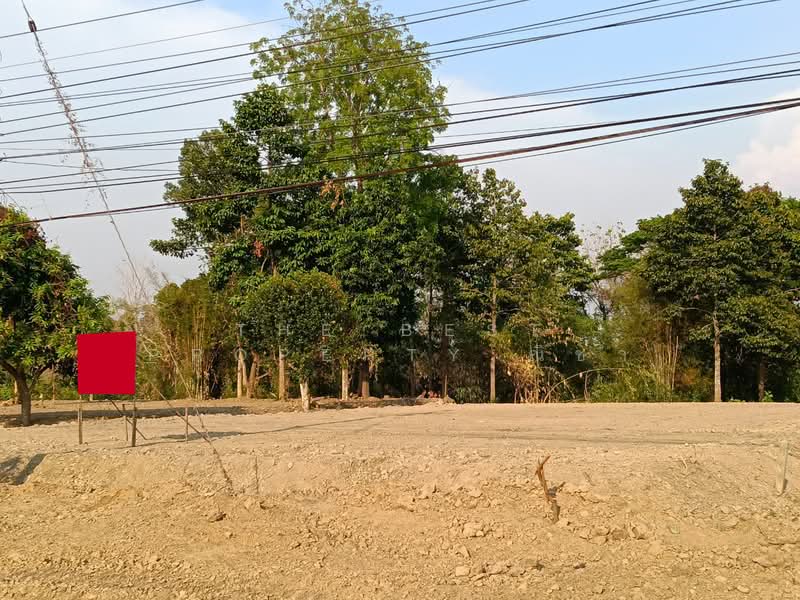 For Sale - ที่ดินบางระกำ พิษณุโลก, Phitsanulok