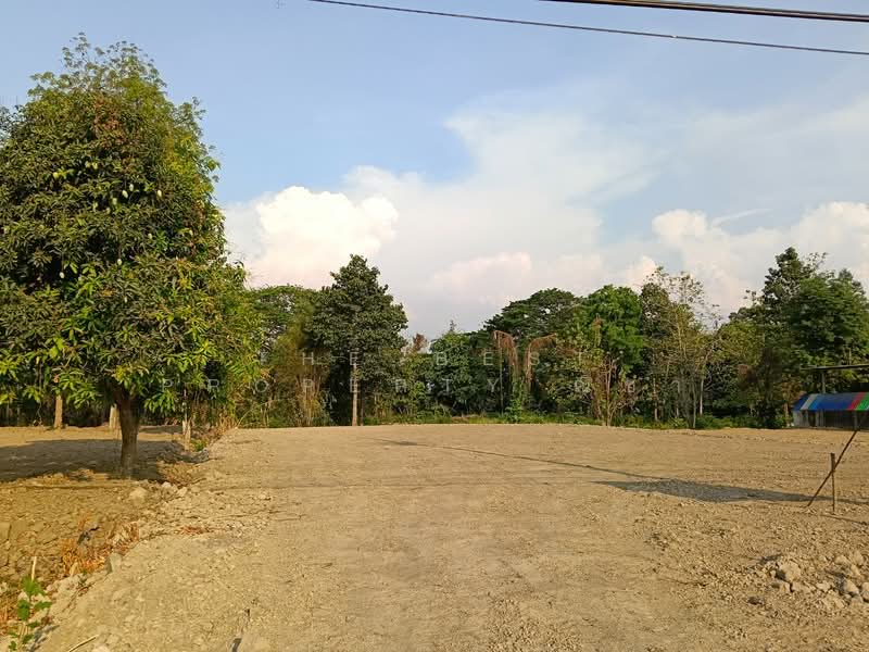 For Sale - ที่ดินบางระกำ พิษณุโลก, Phitsanulok