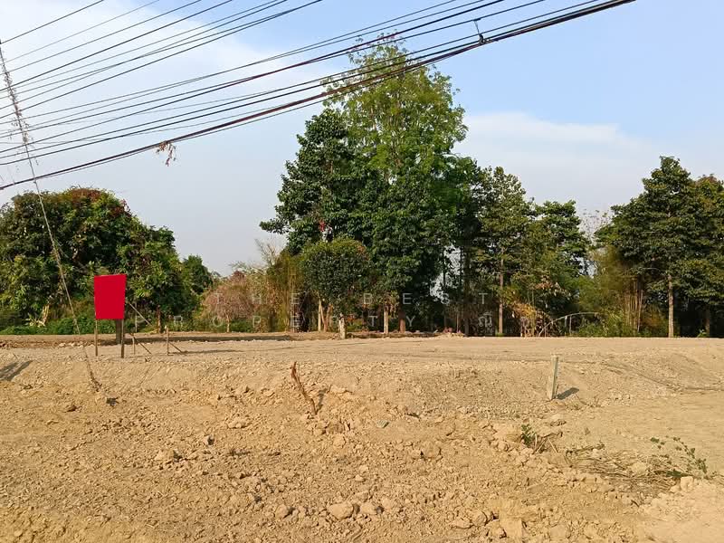 For Sale - ที่ดินบางระกำ พิษณุโลก, Phitsanulok