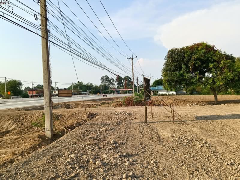 ที่ดินบางระกำ พิษณุโลก, พิษณุโลก, บางระกำ, บางระกำ, พิษณุโลก, 932 ตร.ม., ที่ดิน ขาย, โดย The Best Property ณิชา, 500234551 - DDproperty.com