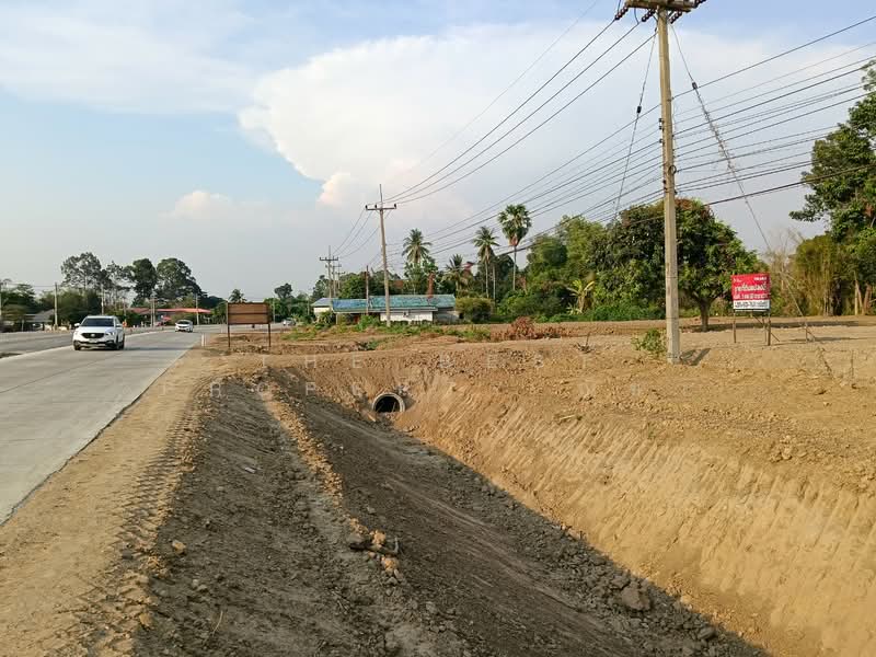 For Sale - ที่ดินบางระกำ พิษณุโลก, Phitsanulok