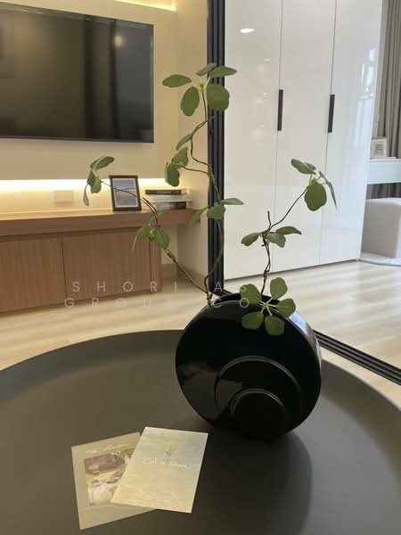 ขาย - Hill Park Condo 1 : เดอะ ฮิลล์ พาร์ค1, เชียงใหม่