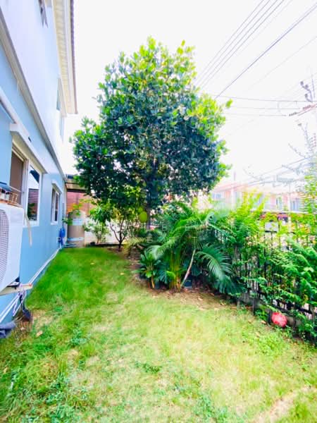 โนโววิลล์ พุทรสาคร, Samut Sakhon, Suan Luang, Krathum Baen, Samut Sakhon, 3 Bedrooms, 103 sqm, Townhouse For Sale, by The Best Property แอน, 500234596 - DDproperty.com