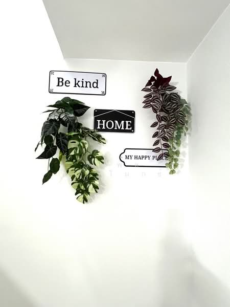 Pleno Sukhumvit-Bangna 2 : พลีโน่ สุขุมวิท-บางนา 2, สมุทรปราการ, ถนนบางนา-ตราด, บางแก้ว, บางพลี, สมุทรปราการ, 116 ตร.ม., ทาวน์เฮ้าส์ ให้เช่า, โดย รัฐพล ศิวาโมกข์, 500234610 - DDproperty.com