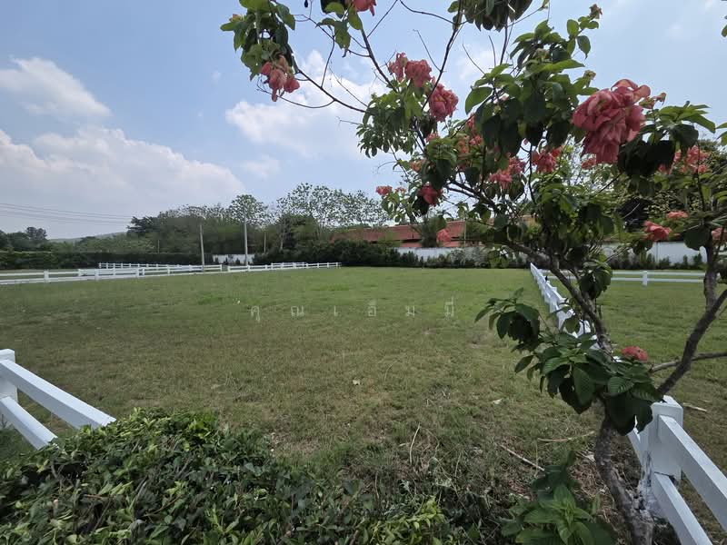 ขายที่ดิน เขาใหญ่ ปากช่อง 302 ตร.วา | ที่ดินในโครงการ Green Montana | หน้ากว้าง 28 ม. เหมาะสร้างบ้าน, Nakhon Ratchasima, Pak Chong, Pak Chong, Nakhon Ratchasima, , 1,208 sqm, Land For Sale, by คุณเอ็มมี่, 500234658 - DDproperty.com