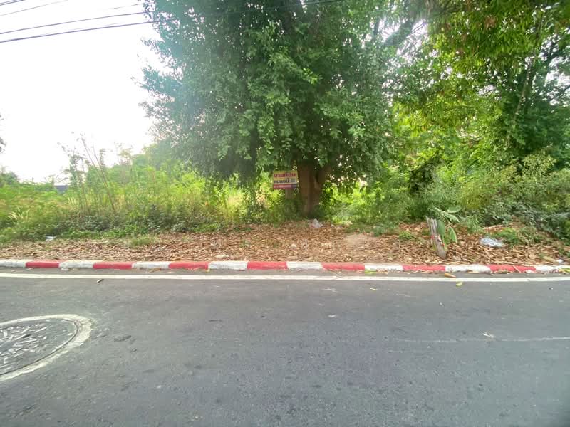 ขาย - ที่ดินอำเภอวารินชำราบ จังหวัดอุบลราชธานี, อุบลราชธานี