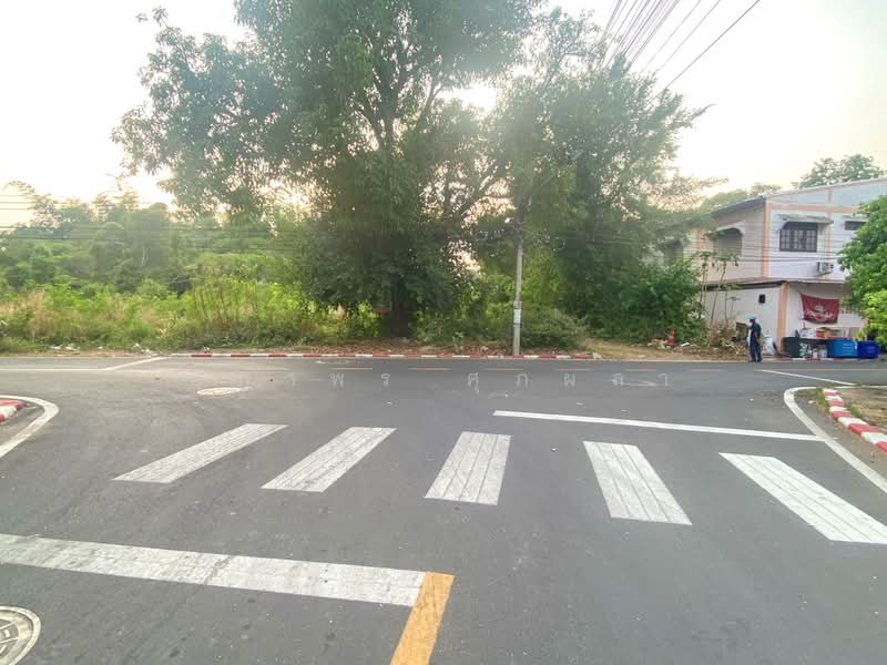 ที่ดินอำเภอวารินชำราบ จังหวัดอุบลราชธานี, Ubon Ratchathani, Warin Chamrap, Warin Chamrap, Ubon Ratchathani, , 1,768 sqm, Land For Sale, by ยุภาพร ศุภผลา, 500234690 - DDproperty.com