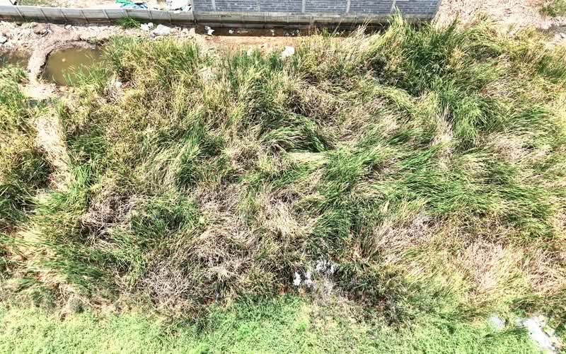 ขาย - ขายที่ดินคลองหลวง คลองหนึ่ง, ปทุมธานี