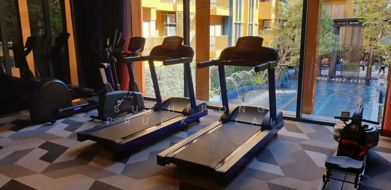 The Base Sukhumvit 50, Bangkok, Soi Roem Charoen 1, Sukhumvit 50 Road, Phra Kanong, Khlong Toei, Bangkok, 1 Bedroom, 32 sqm, Condo For Rent, by Suthipong Prucksalai, 500234737 - DDproperty.com