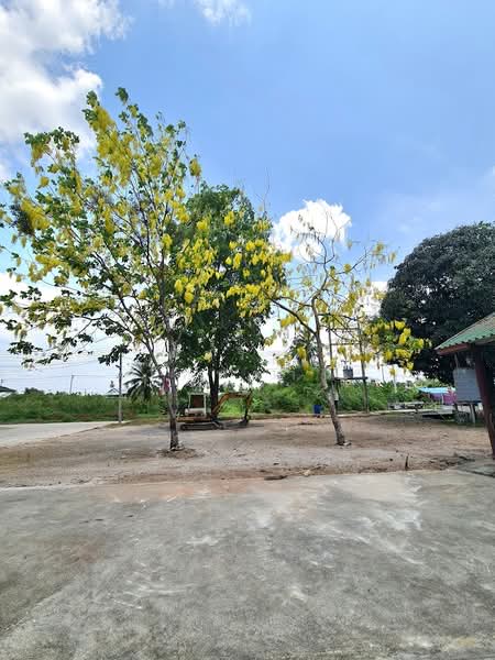 Land for sale in Sam Phran, Nakhon Pathom, with existing buildings, total area 7 rai, near Phetkasem, Nakhon Pathom, เพชรเกษม, Khlong Mai, Sam Phran, Nakhon Pathom, , 11,116 sqm, Land For Sale, by Fareeda Thaipatan, 500234740 - DDproperty.com