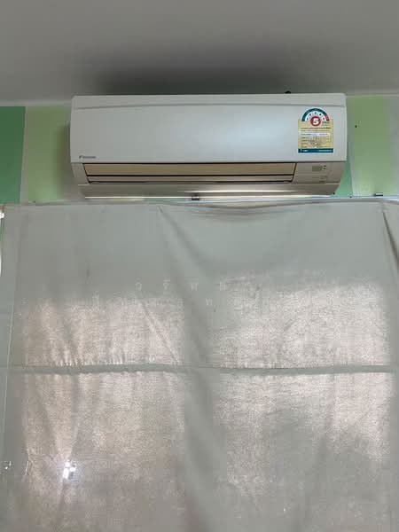 The Plant Rama 9 - Wongwaen 2 : เดอะ แพลนท์ พระราม 9 - วงแหวน 2, กรุงเทพ, ถนน พัฒนาชนบท 3, คลองสองต้นนุ่น, ลาดกระบัง, กรุงเทพ, 150 ตร.ม., บ้านเดี่ยว ให้เช่า, โดย วรัทยา สีหนาทสกุล, 500234749 - DDproperty.com