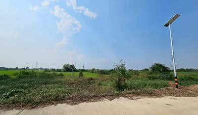 ขาย - ซอยวัดบางปลา, นครปฐม