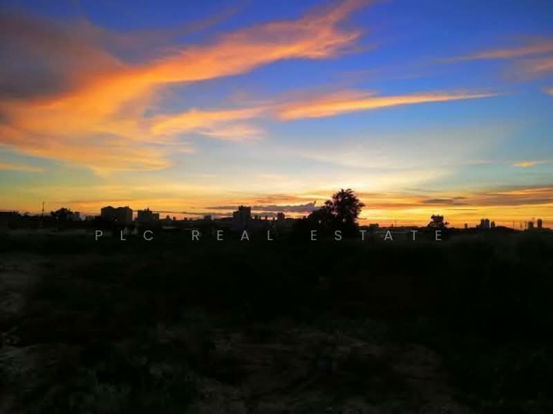 ขายที่ดิน – เขาตาโล พัทยา, ชลบุรี, บางละมุง, บางละมุง, ชลบุรี, 15,996 ตร.ม., ที่ดิน ขาย, โดย PLC real estate, 500234786 - DDproperty.com