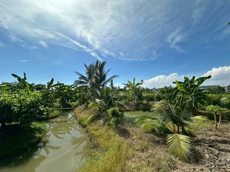 ขายที่ดินเปล่า ซอยรวมญาติ เนื้อที่ 8-0-72 ไร่ ทำเลดี เดินทางสะดวก น้ำ-ไฟเข้าถึง, กรุงเทพ, หลักสอง, บางแค, กรุงเทพ, 13,088 ตร.ม., ที่ดิน ขาย, โดย Jutanon Komoottanaruk, 500234828 - DDproperty.com