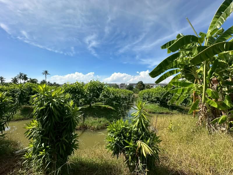 ขายที่ดินเปล่า ซอยรวมญาติ เนื้อที่ 8-0-72 ไร่ ทำเลดี เดินทางสะดวก น้ำ-ไฟเข้าถึง, Bangkok, Lak Song, Bang Khae, Bangkok, , 13,088 sqm, Land For Sale, by Jutanon Komoottanaruk, 500234828 - DDproperty.com