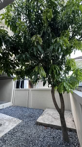 Perfect Place Ramkhamhaeng 164, Bangkok, Soi Ramkhamhaeng 164, Saphan Sung, Saphan Sung, Bangkok, 4 Bedrooms, 316 sqm, Single Detached House For Sale, by Parit Daolert, 500234881 - DDproperty.com