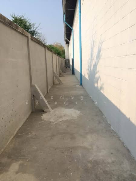 โกดังให้เช่าแพรกษา สมุทรปราการ ขนาด 800ตรม. รถเทรลเลอร์เข้าออกได้ ไฟ3เฟส, สมุทรปราการ, แพรกษา, เมืองสมุทรปราการ, สมุทรปราการ, 1,000 ตร.ม., โกดัง-โรงงาน ให้เช่า, โดย เฌอณิษฐา นิติวัชญ์วาณิช, 500234942 - DDproperty.com