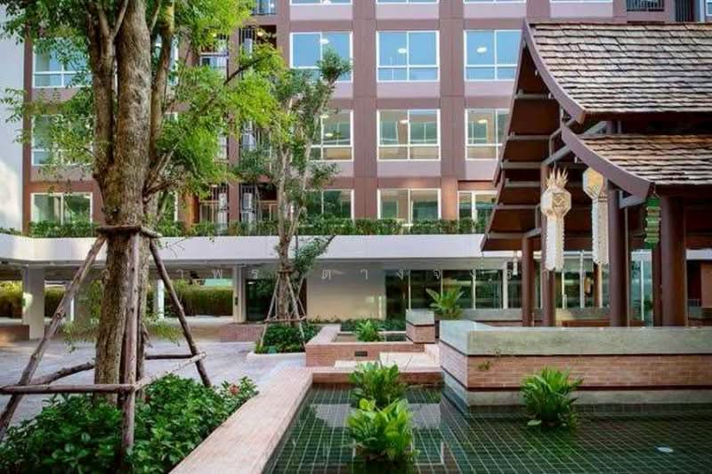 D Vieng Santitham, Chiang Mai, 66 Hussadhisawee Rd, Chang Phuak, Muang Chiang Mai, Chiang Mai, 1 Bedroom, 37 sqm, Condo For Sale, by วราพร ตางจงราช, 500234971 - DDproperty.com