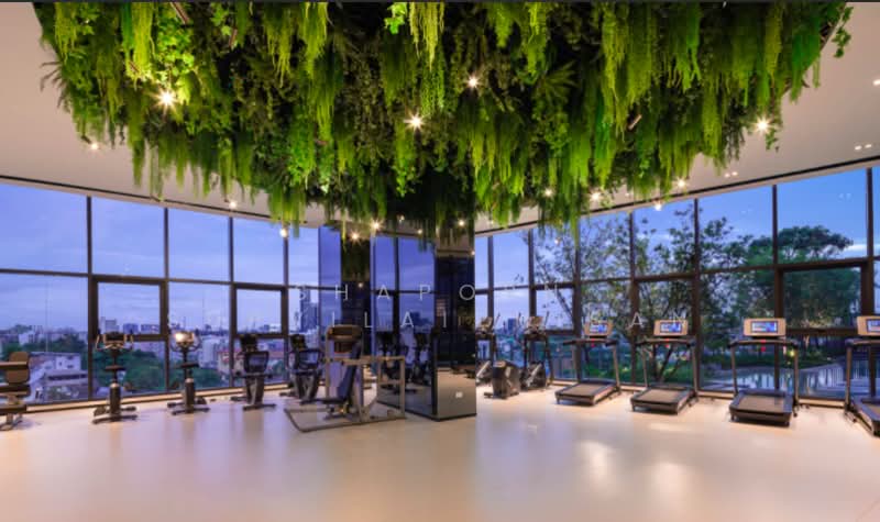 IDEO Sukhumvit Rama 4, Bangkok, Soi Sukhumvit 44, Sukhumvit Road, Phra Kanong, Khlong Toei, Bangkok, 1 Bedroom, 37 sqm, Condo For Rent, by Shaporn Supvilaiphisan, 500234975 - DDproperty.com