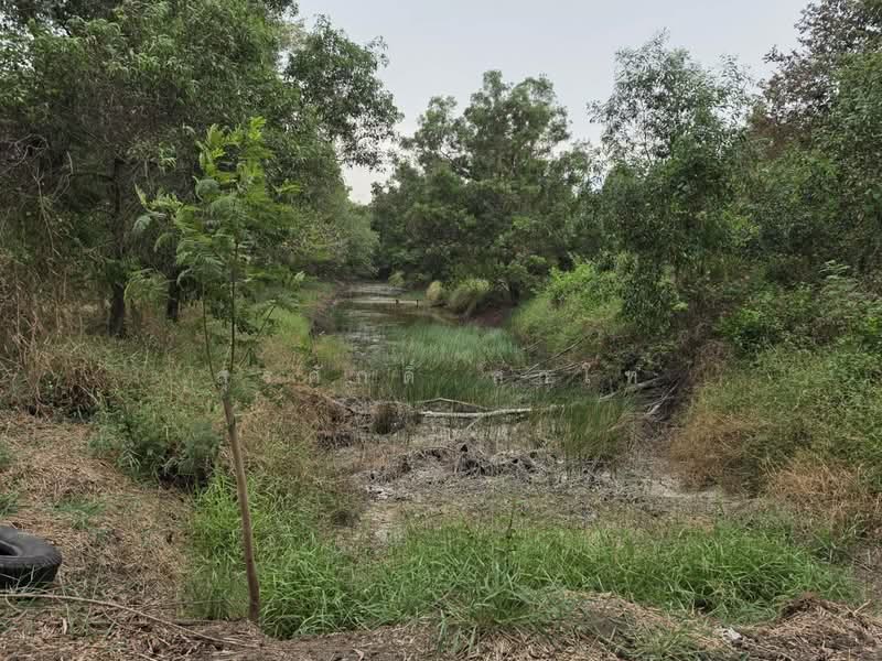 Vacant Land 28-3-26 Lat Lum Kaeo Pathum Thani Highway road340 Good location for warehouse and Factor, Pathum Thani, บางบัวทอง-สุพรรณบุรี, Na-Mai, Lat Lum Kaeo, Pathum Thani, , 46,104 sqm, Land For Sale, by Surasak Satho, 500234977 - DDproperty.com