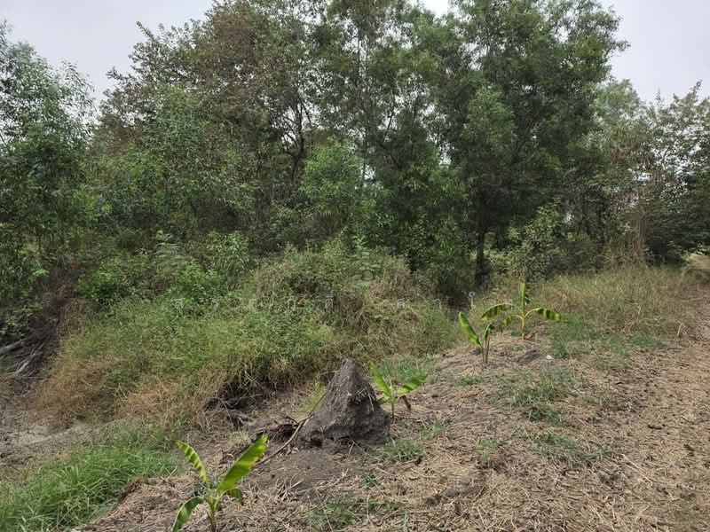 Vacant Land 28-3-26 Lat Lum Kaeo Pathum Thani Highway road340 Good location for warehouse and Factor, Pathum Thani, บางบัวทอง-สุพรรณบุรี, Na-Mai, Lat Lum Kaeo, Pathum Thani, , 46,104 sqm, Land For Sale, by Surasak Satho, 500234977 - DDproperty.com