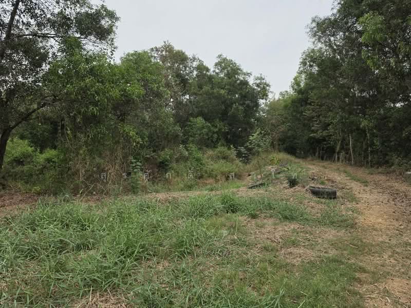 Vacant Land 28-3-26 Lat Lum Kaeo Pathum Thani Highway road340 Good location for warehouse and Factor, Pathum Thani, บางบัวทอง-สุพรรณบุรี, Na-Mai, Lat Lum Kaeo, Pathum Thani, , 46,104 sqm, Land For Sale, by Surasak Satho, 500234977 - DDproperty.com