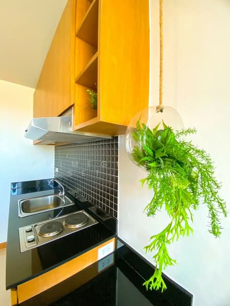 Saiyuanburi, Phuket, Rawai, Muang Phuket, Phuket, 1 Bedroom, 34 sqm, Townhouse For Rent, by primeglobalasset Nony, 500235038 - DDproperty.com