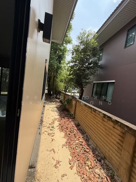 Burasiri Rangsit, Pathum Thani, Rangsit-Pathum Thani Road, Suan Pring Thai, Muang Pathum Thani, Pathum Thani, 4 Bedrooms, 282 sqm, Single Detached House For Sale, by PRADUBPORN SANGKAPHONG, 500235075 - DDproperty.com