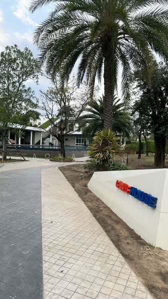 Baan Karnkanok 12 : บ้านกาญจน์กนก 12, เชียงใหม่, ซุปเปอร์ไฮเวย์เชียงใหม่, ไชยสถาน, สารภี, เชียงใหม่, 220 ตร.ม., บ้านเดี่ยว ให้เช่า, โดย Aonanong Tajakhod, 500235371 - DDproperty.com